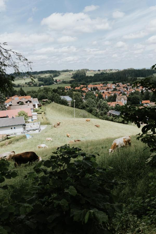 Ferienwohnung Alpenblick I Kamin I Private Sauna Wangen im Allgäu Kültér fotó