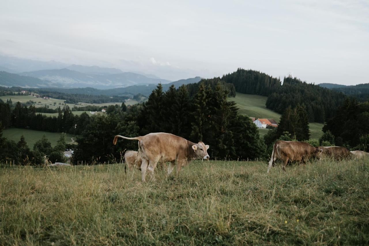 Ferienwohnung Alpenblick I Kamin I Private Sauna Wangen im Allgäu Kültér fotó